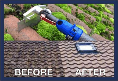 TOP2BOTTOM Roof Cleaning