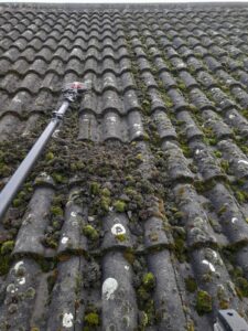 top2bottom roof cleaning 5